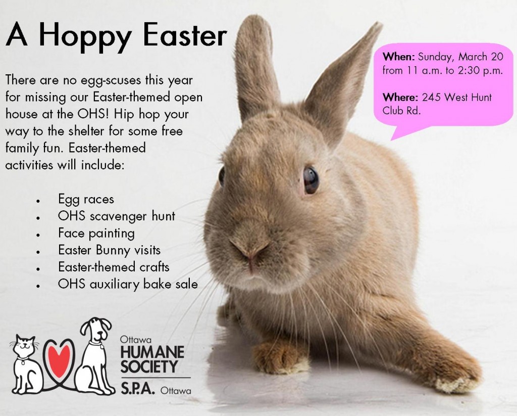 A Hoppy Easter Ad - FINAL