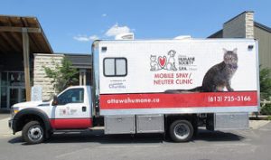 mobile
