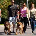 walk and run