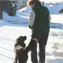 dog walker