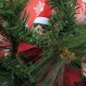 Jingle the Christmas Elf