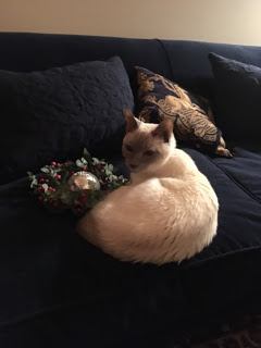 gracie christmas 2016