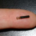microchip implant