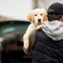 man outdoors turned around holding a puppy