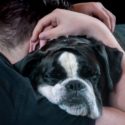 A sad dog being hugged by a person