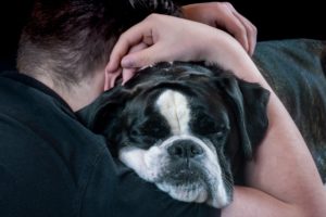 A sad dog being hugged by a person