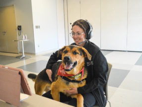 OHS staff with dog