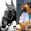 Dr. Miller and Dr. Key