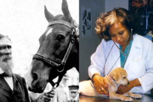 Dr. Miller and Dr. Key