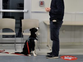 ohs training class