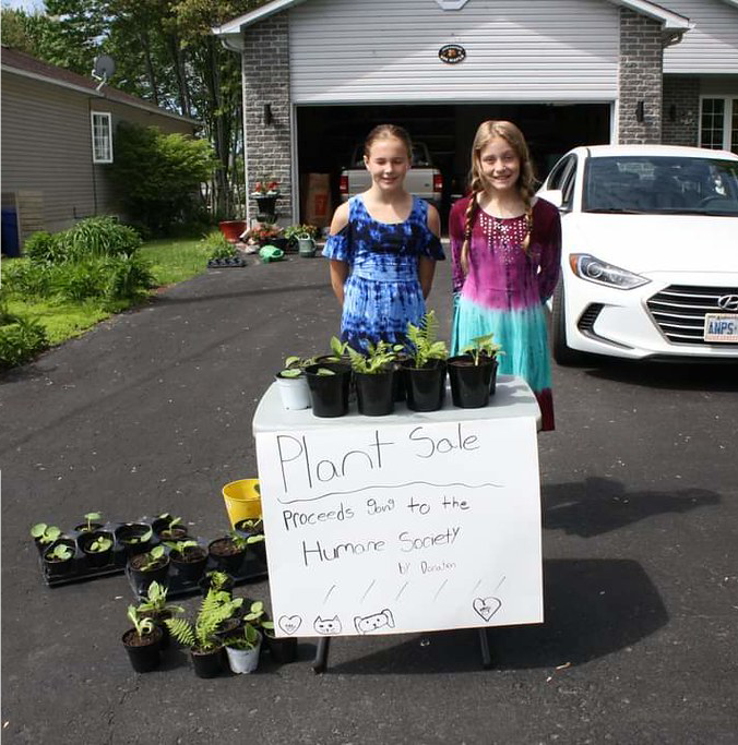 plant sale