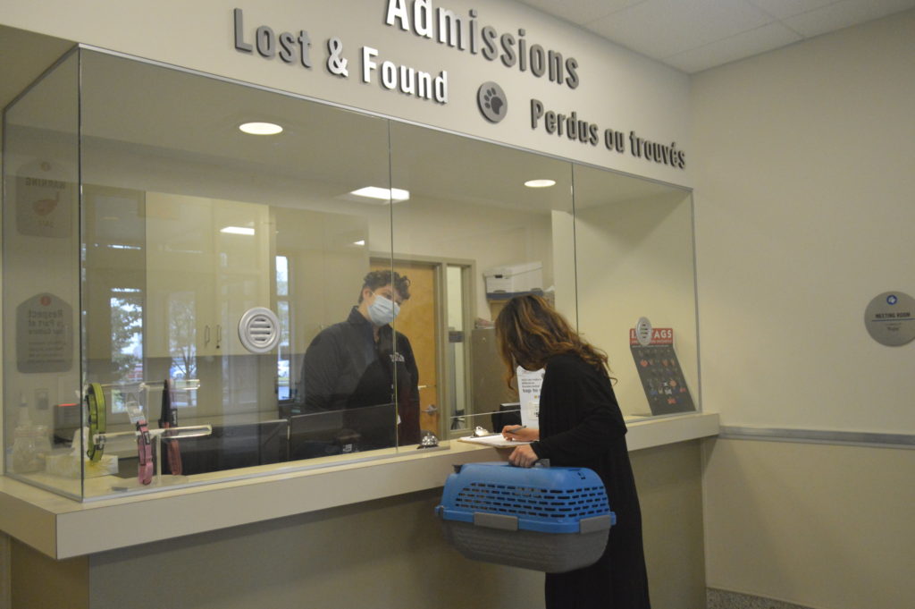 An animal being admitted to the OHS