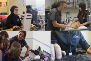 OHS staff collage