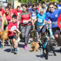 wiggle waggle race