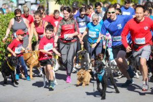 wiggle waggle race