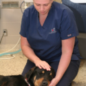 Julie Laporte with a dog