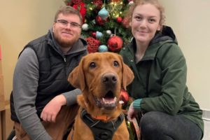 A couple adopting a brown dog. A Christmas tree is behind them.