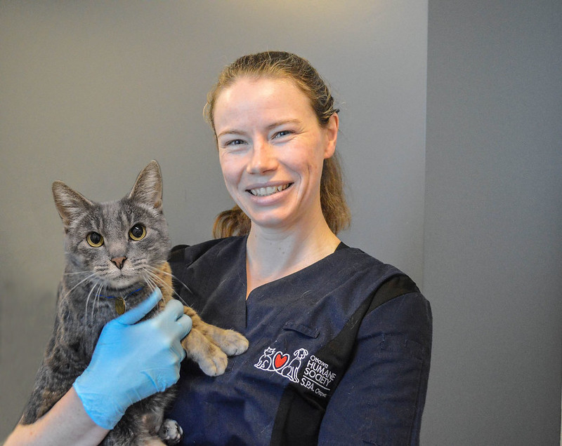 Veterinarian smiling while holding a cat.