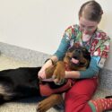 Veterinarian cuddling with a big dog on the floor.