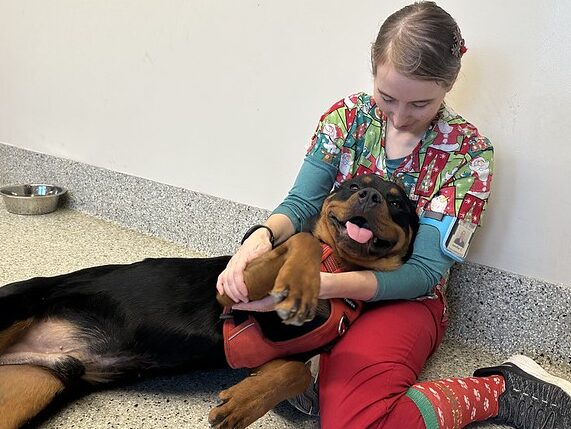 Veterinarian cuddling with a big dog on the floor.