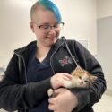 Veterinary Technician holding a small kitten.