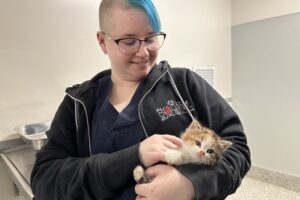 Veterinary Technician holding a small kitten.