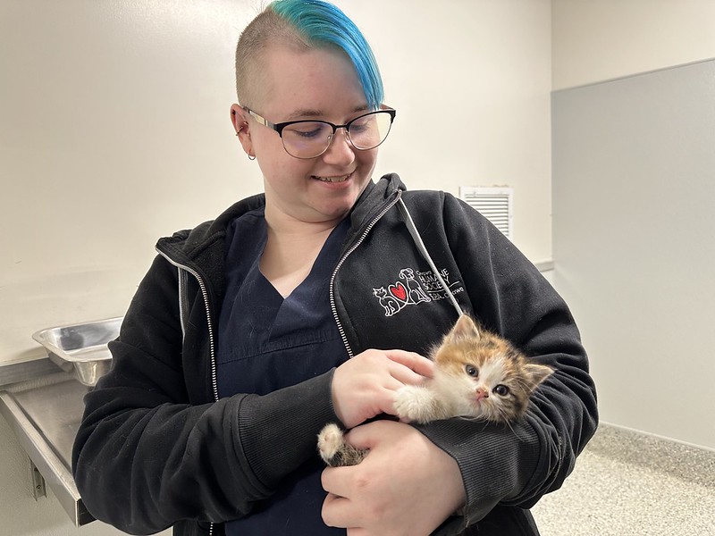 Veterinary Technician holding a small kitten.